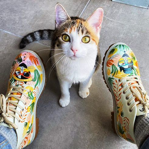 Botki w koty - Pan i Pani Kot